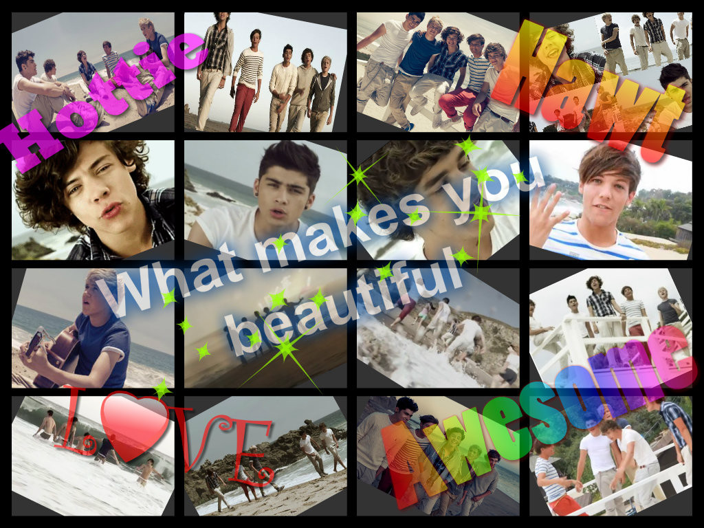 newWhat-makes-you-beautiful-one-direction-33272432-1024-768